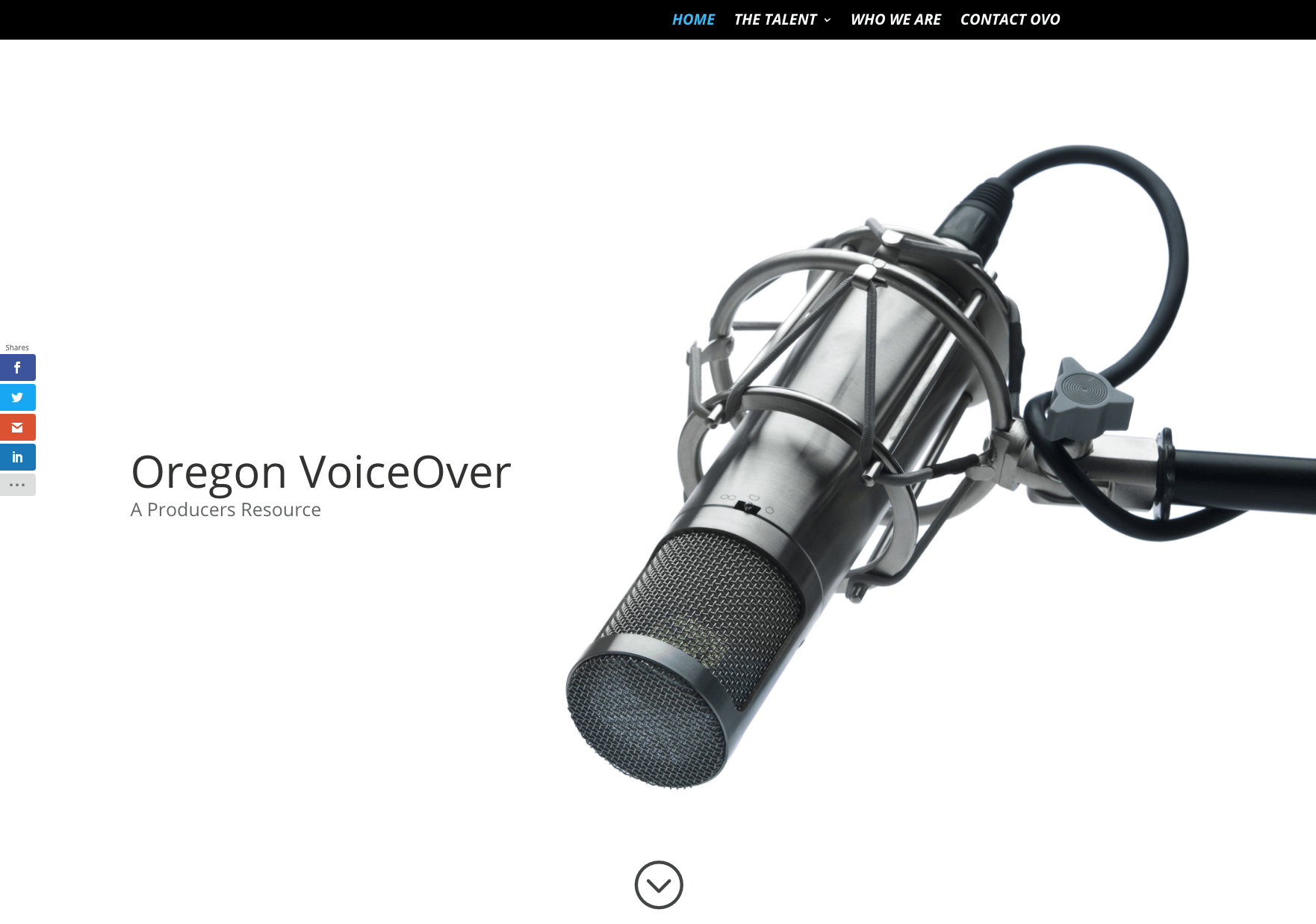 Oregon Voice Over Website